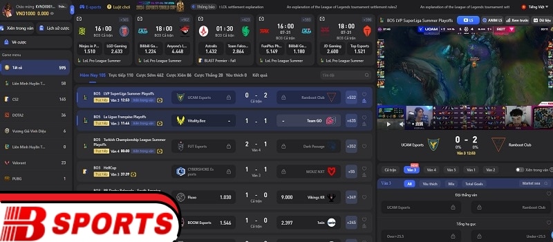 Cá cược Esports Bsport là gì?