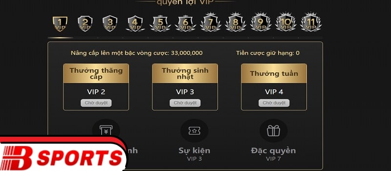 Chương trình ưu đãi đặc biệt cho người chơi VIP