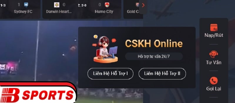 Tầm quan trọng của bộ phận hỗ trợ người chơi Bsport