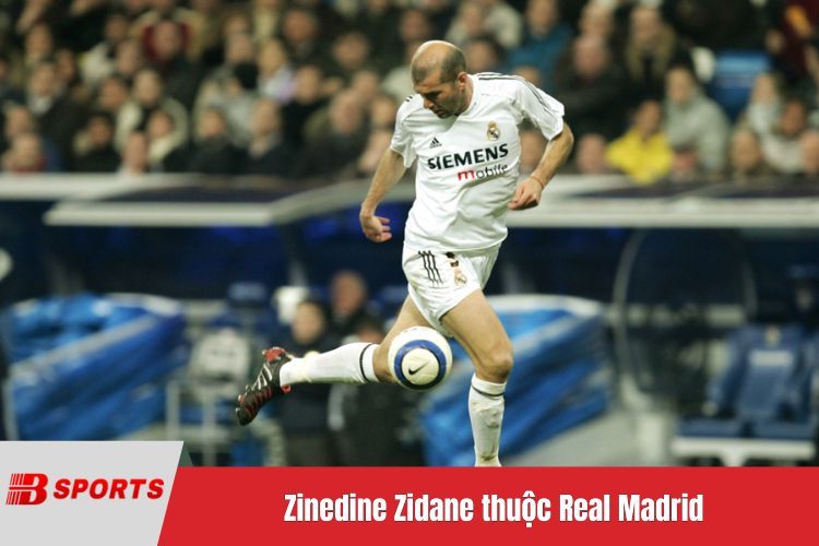 Zinedine Zidane thuộc Real Madrid