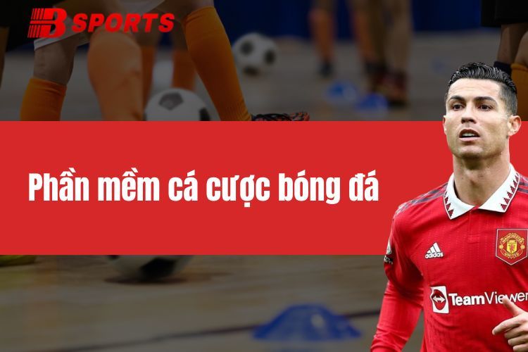 Phần mềm cá cược bóng đá - Tối ưu cách dùng cho tân thủ