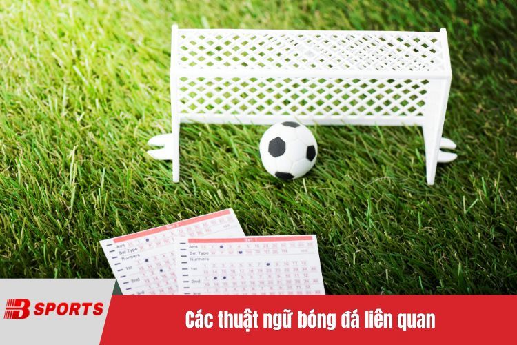 Các thuật ngữ bóng đá liên quan đến hệ thống thi đấu