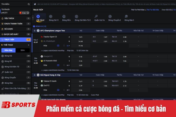 Phần mềm cá cược bóng đá - Tìm hiểu cơ bản