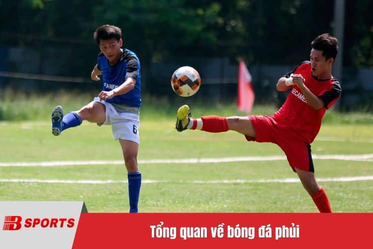 Tổng quan về bóng đá phủi
